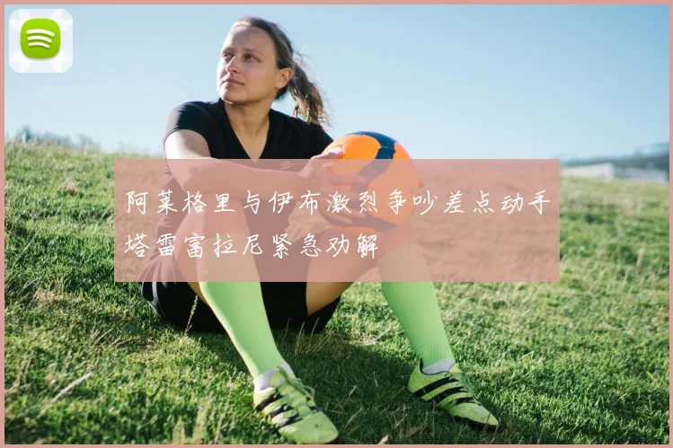 阿莱格里与伊布激烈争吵差点动手塔雷富拉尼紧急劝解